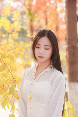 日韩妆和欧一区二区区别是